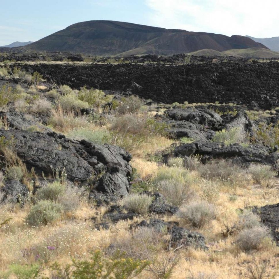 Batuan lava hitam di Mojave. (Current Biology)