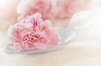 Bunga yang dapat dimakan. (Pixabay/HCshearer)