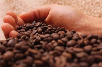 Ilustrasi biji kopi. (Pixabay/ Danramirez)
