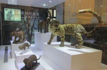 Spesimen dari Macan dahan Formosa yang diawetkan di Museum Nasional Taiwan. (Creative Commons)