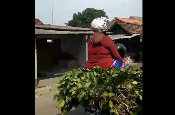 Viral naik daun. (Twitter/@adamarditya)