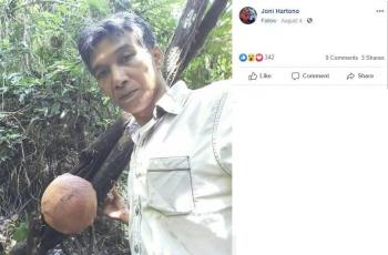 Time lapse bunga bangkai. (Facebook/ Joni Hartono)