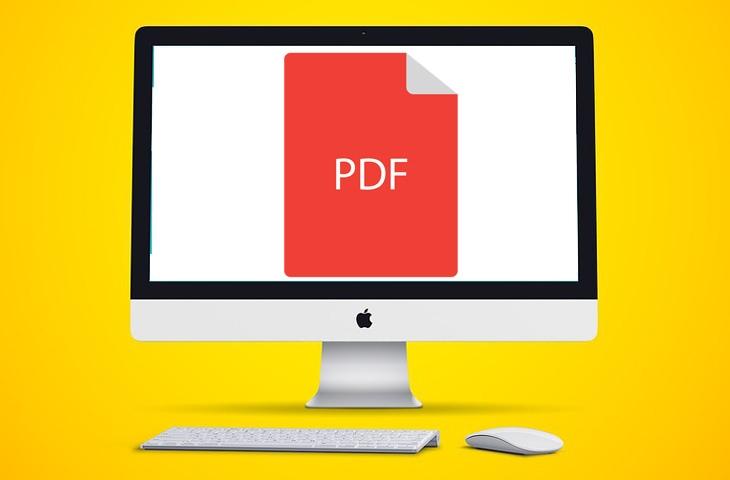 Ilustrasi file PDF. (Pixabay)