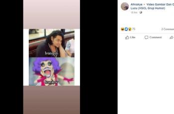 Artis disamakan dengan karakter One Piece. (Facebook/ Afniskye)