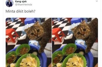 Wajah kucing menggemaskan ini viral di Twitter. (Twitter/ IlhamHerinda)
