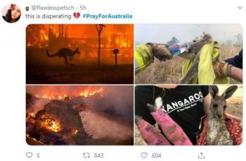 Kebakaran hutan Australia bikin netizen sedih. (Twitter/ @flawlesspetsch)