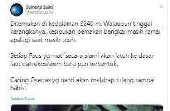 Thread mengenai cacing Osedax yang memakan bangkai ikan paus di dasar laut. (Twitter/ semestasains)