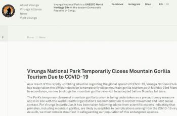 Situs resmi Taman Nasional Virunga mengumumkan penutupan sementara di tengah wabah corona. (Virunga.org)