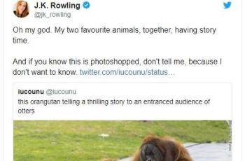 J. K. Rowling ikut terkesima melihat orangutan yang berinteraksi dengan berang-berang. (Twitter)