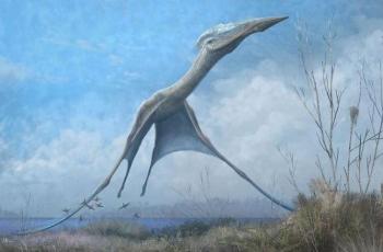 Ilustrasi pterosaurus yang terbang ke udara dengan sekali lompatan. (Press Release University of Bristol/ Mark Witton)