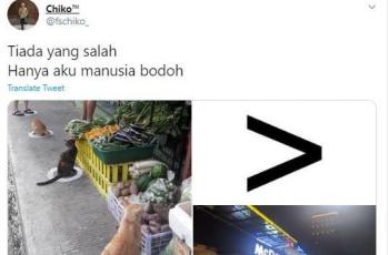 Meme yang menyindir orang kumpul saat PSBB ini viral di Twitter. (Twitter/ fschiko_)