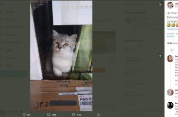 Penerima paket. (Twitter/@crescentkims)