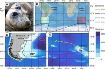 Peta dan penampakan anjing laut yang telah diberikan alat pelacak dan detektor cahaya. (Journal of Experimental Biology)