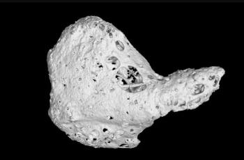 Tulang jantung langka atau os cordis yang ditemukan pada jantung simpanse. (University of Nottingham )