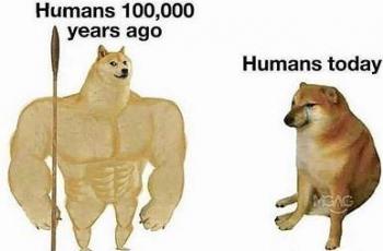 Meme anjing kuat vs anjing lemah. (Memezilla)
