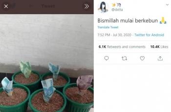 Kebun uang. (twitter/dxtta)