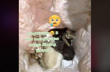 Isi bungkusan karung ini bikin netizen sedih. (TikTok/ @nextgo202)D