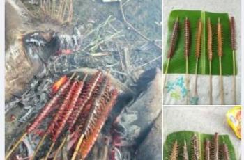 Penampakan sate kelabang ini bikin netizen ngeri. (Facebook/ Muhammad Shafiq)