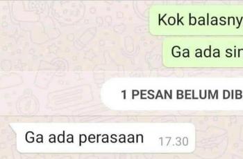 Chat gebetan. (Twitter/@campoorans)