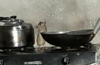 Sosok di dapur. (Twitter/@kegblgnunfaedh)