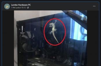 Makluk ini masuk ke casing PC. (Facebook/ Lambe Hardware PC)