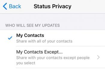 Cara hide story di WhatsApp. (HiTekno)