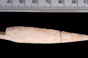 Panah dari pertempuran di Kota Gat. (Tell es-Safi/Gath Archaeological Project)