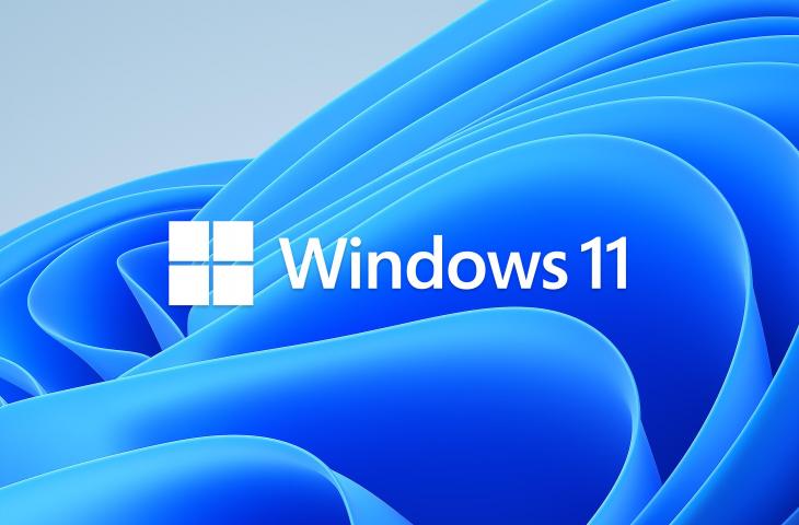 Windows 11. (Microsoft)