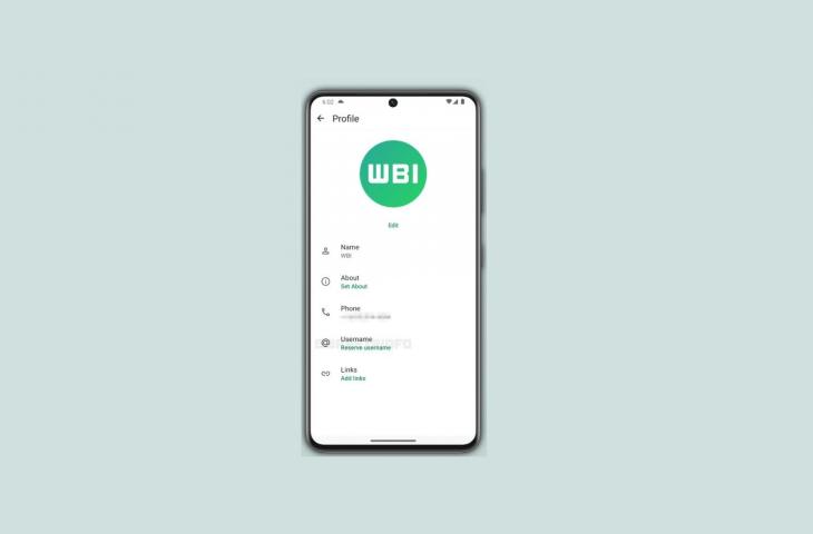 Fitur username WhatsApp. [WA Beta Info]