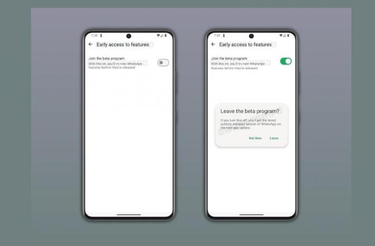 Fitur akses awal ke versi beta WhatsApp. [WA Beta Info]
